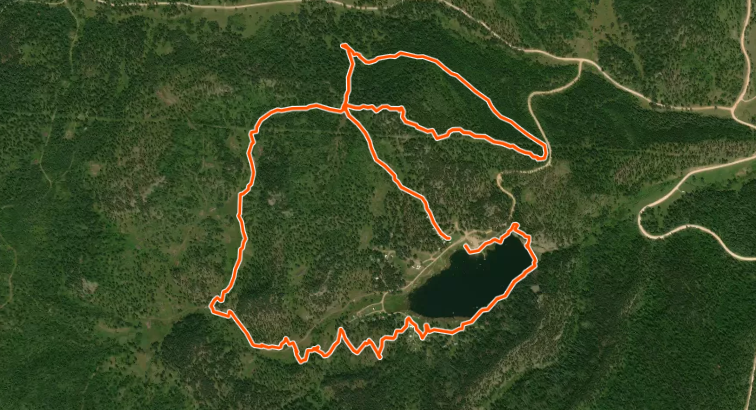 Strava Run Maps